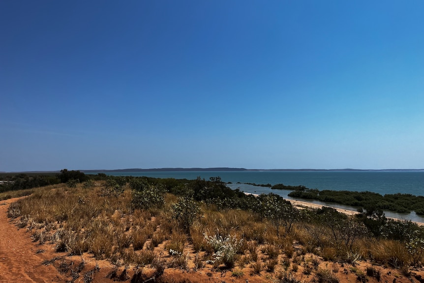 a wide of dirt road, scrub and wtaer