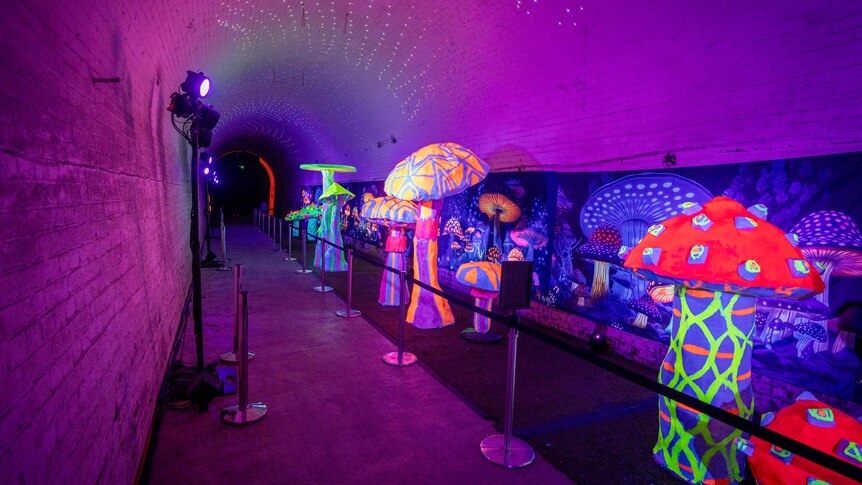 A row of mushroom sculptures in psychedelic colours on display inside a dark tunnel lit up by purple lights