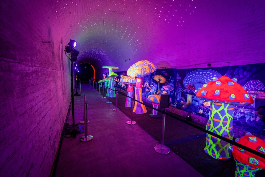A row of mushroom sculptures in psychedelic colours on display inside a dark tunnel lit up by purple lights