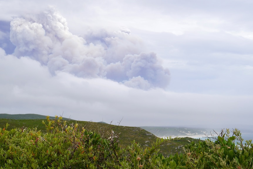 View of a beach and hilly vegetation with thick smoke overhead.