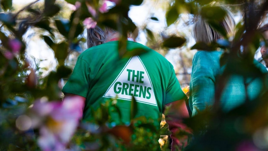 The back of a person wearing a greens t-shirt - taken through some bushes.