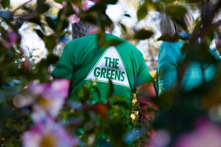 The back of a person wearing a greens t-shirt - taken through some bushes.