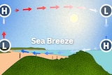 Sea breeze illustration shows uneven heating of the earth's surface near a coastline leads to a sea breeze circulation.