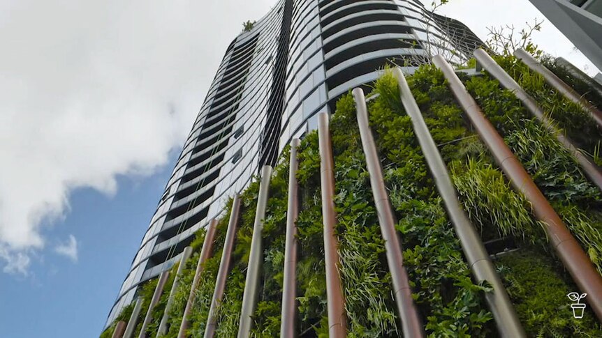 A tall building facade covered in plants.