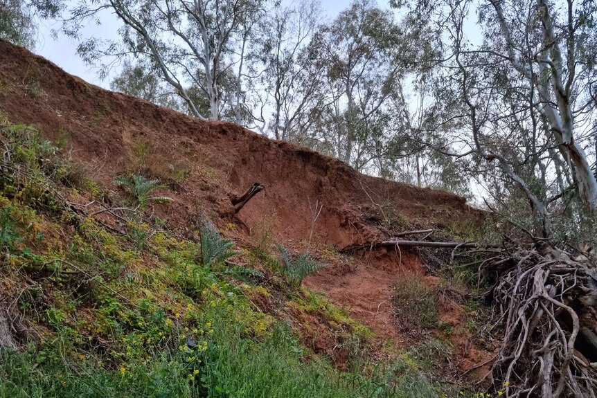 An embankment at Lower Light north of Adelaide.