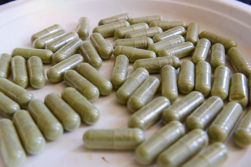 Clear capsules containing green power on a white paper plate