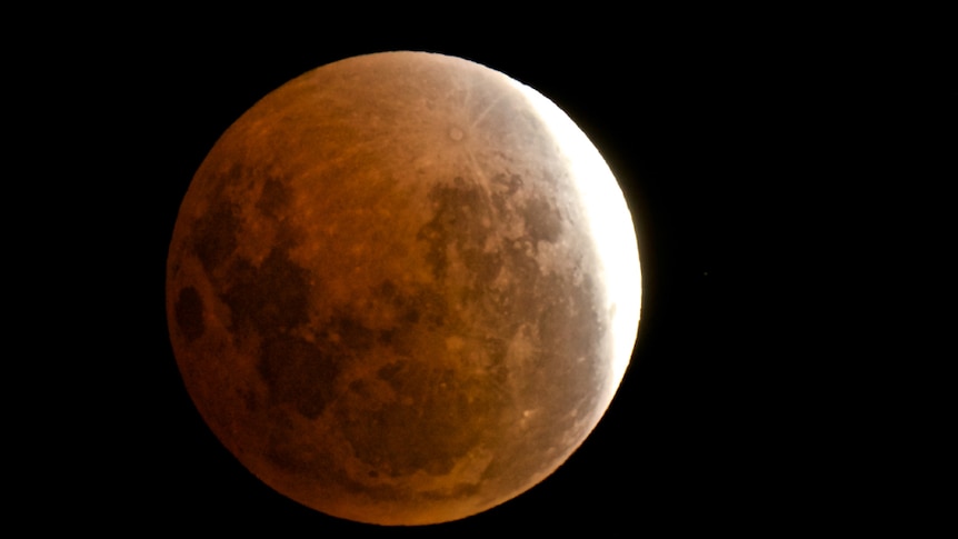Jonah captured the blood moon late in 2014