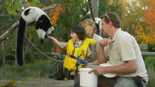 A young child feeds an animal in the zoo with zoo keepers