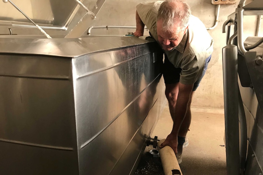 A man connects a pipe to a milk vat