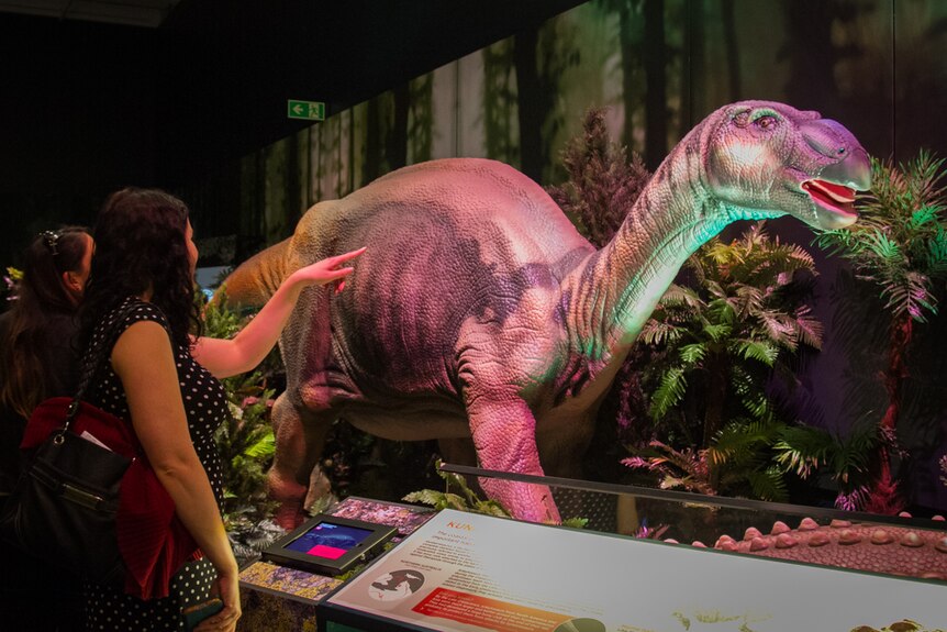 Adults are given the chance to see the dinosaur exhibition late at night in Brisbane.