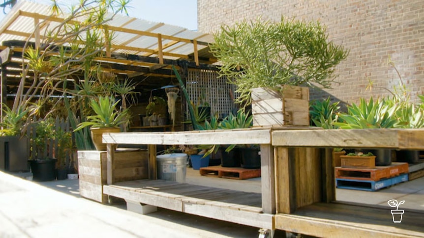 Outdoor space with homemade benches and planter boxes filled with succulent plants
