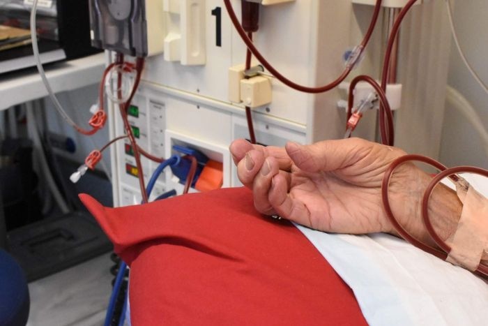 A close-up of a person's hand on a red pillow as they receive dialysis treatment.