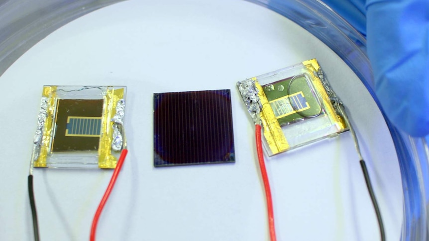Perovskite solar cells made at the Australian National University.