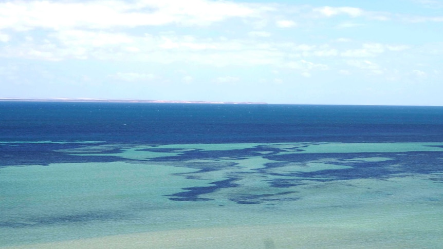 A man is missing after snorkelling on Ningaloo reef near Warroora Station south of Coral Bay 16 May 2013