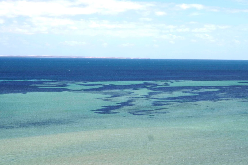 The ocean off WA's north-wet coast near Coral Bay.