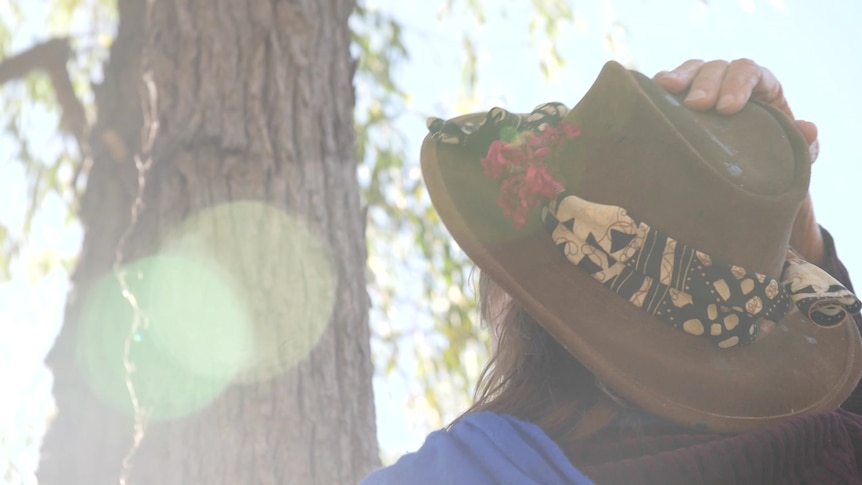 a woman wearing a hat is starting at a large tree with her back to the camera