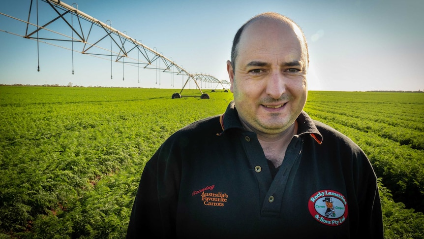 Carrot farmer Angelo Lamattina  on his farm at Wemen, Victoria.