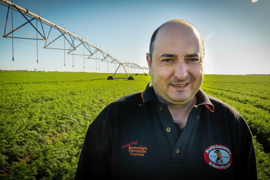 Carrot farmer Angelo Lamattina  on his farm at Wemen, Victoria.