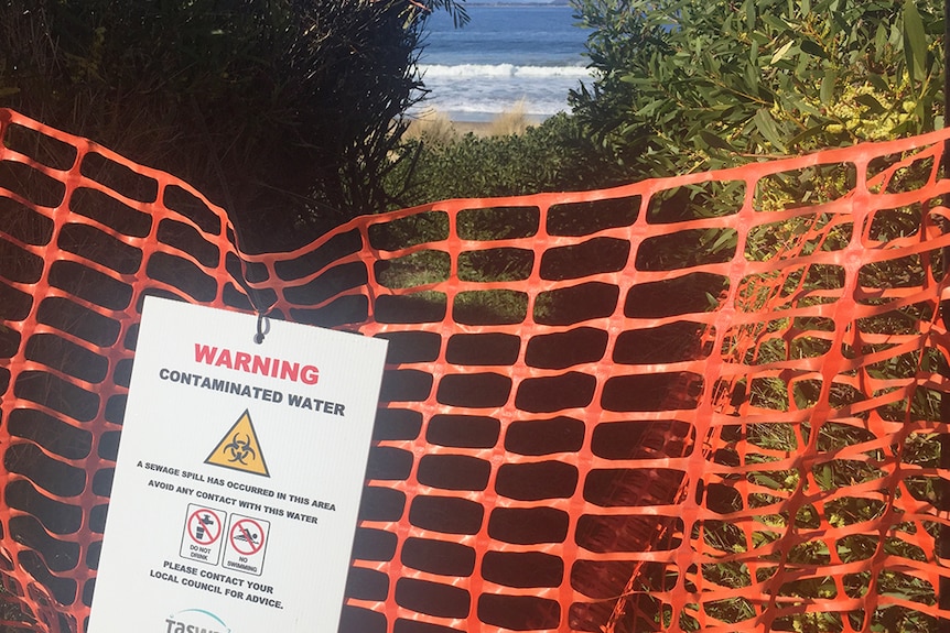 Temporary fencing at entrance to beach.