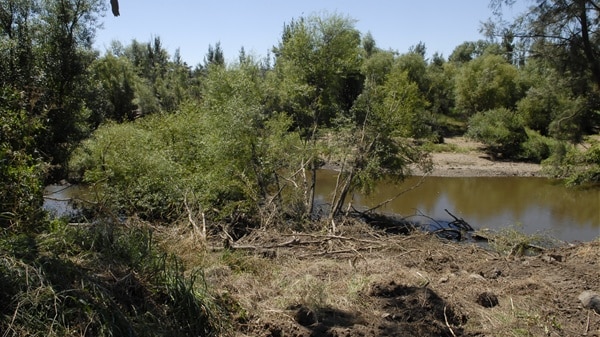 Graziers say Marshes are under threat