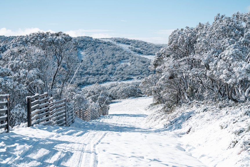 The ski field at Falls Creek, Victoria after a fresh dump of snow