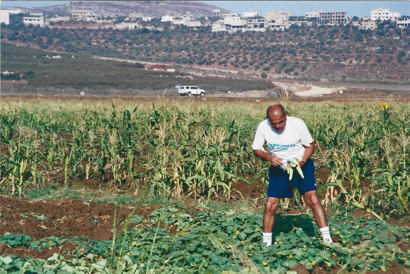 A man picking crops in a field