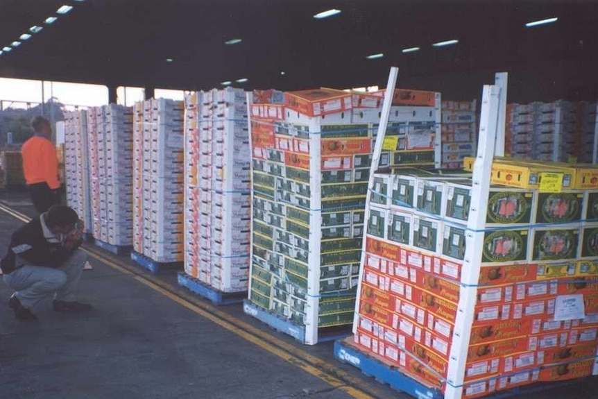 File picture from Sydney Markets, 2002.