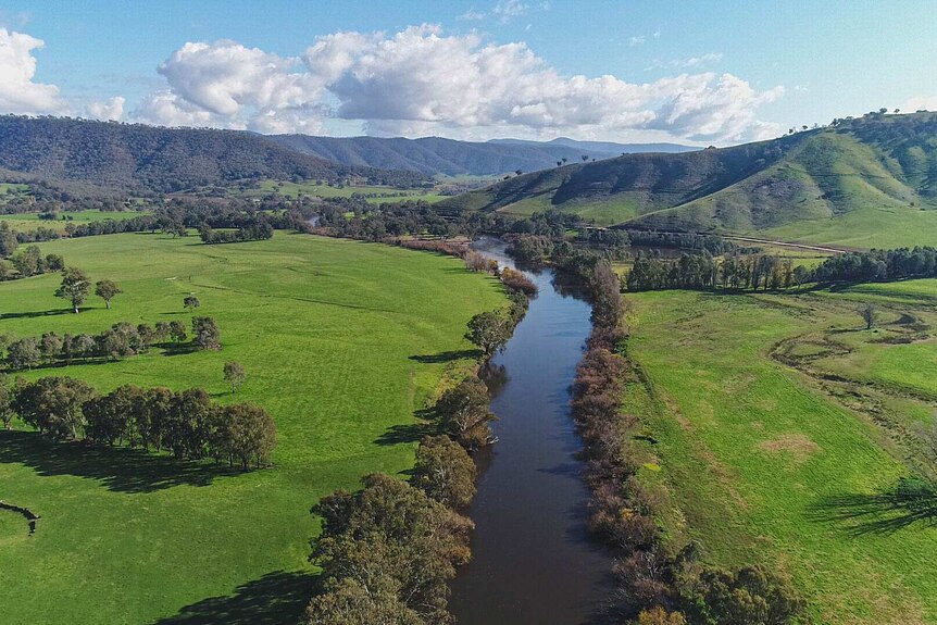 A drone shot of the Murray river, bright green paddocks either side, but distant hills still have visible burnt patches.