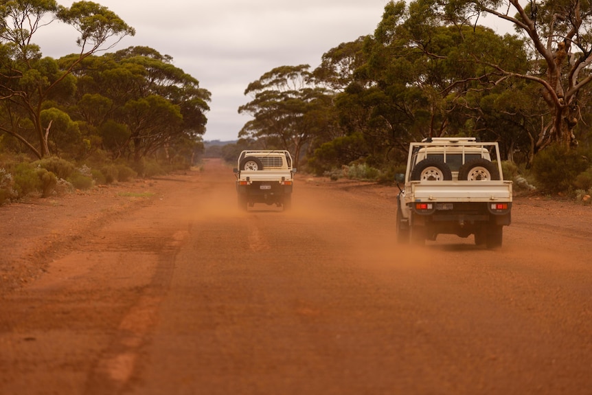 Utes drive along a dusty unsealed road