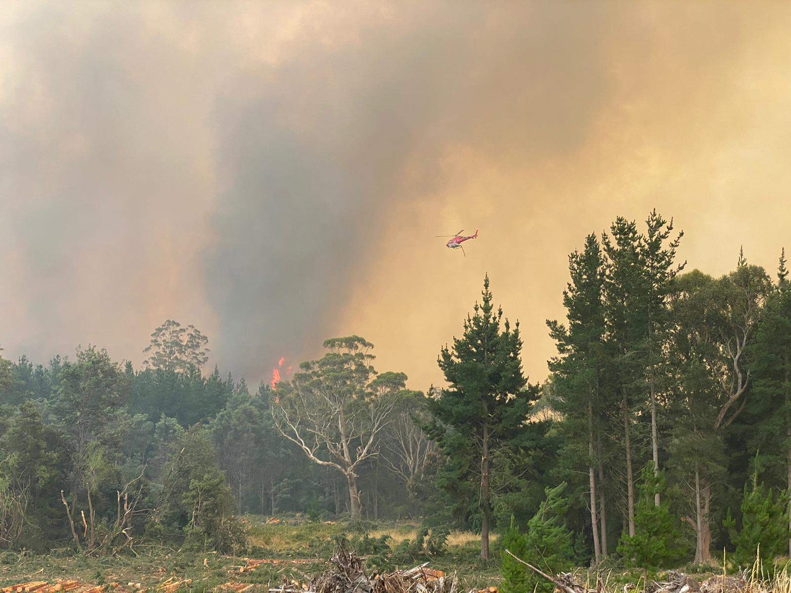 Bushfire Emergency Downgraded In Tasmania's North After Sweltering 40C ...