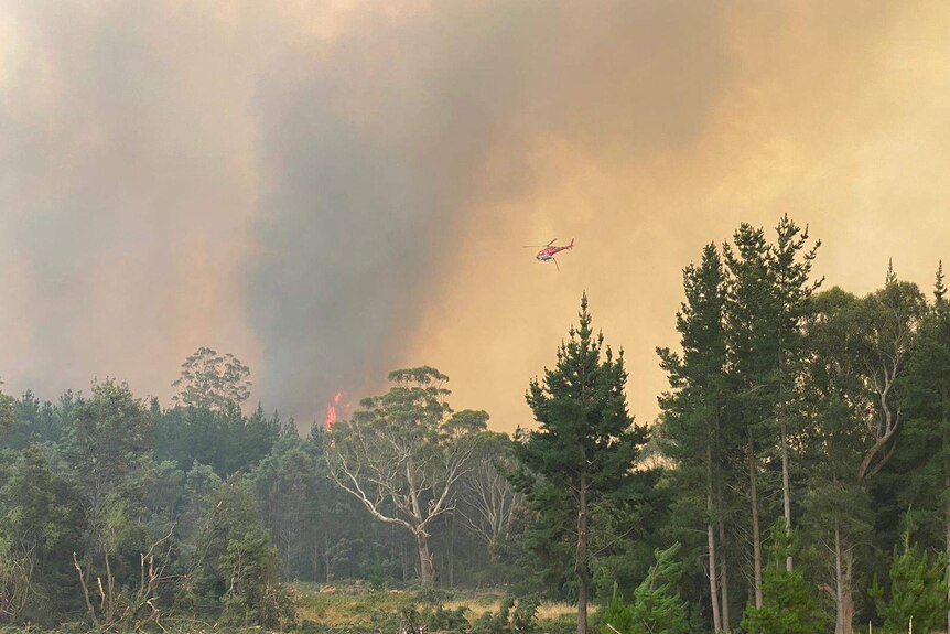 A helicopter flies above a fire in bushland