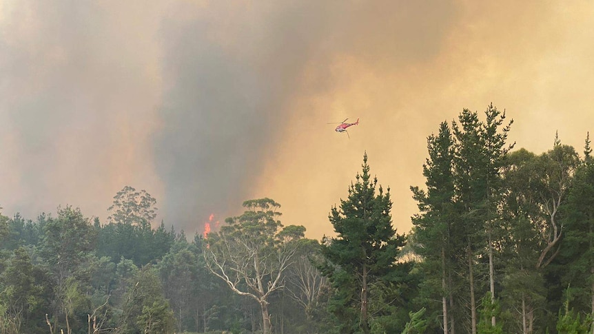 A helicopter flies above a fire in bushland