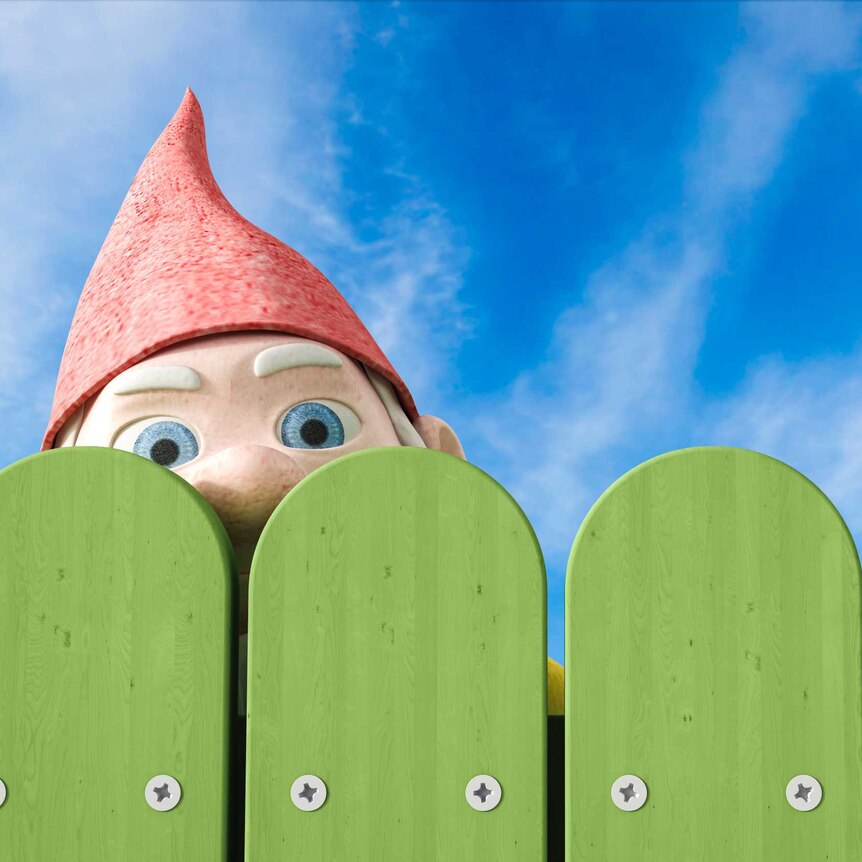 The face of a garden gnome in a red hat peering over a green picket fence with blue sky and clouds behind