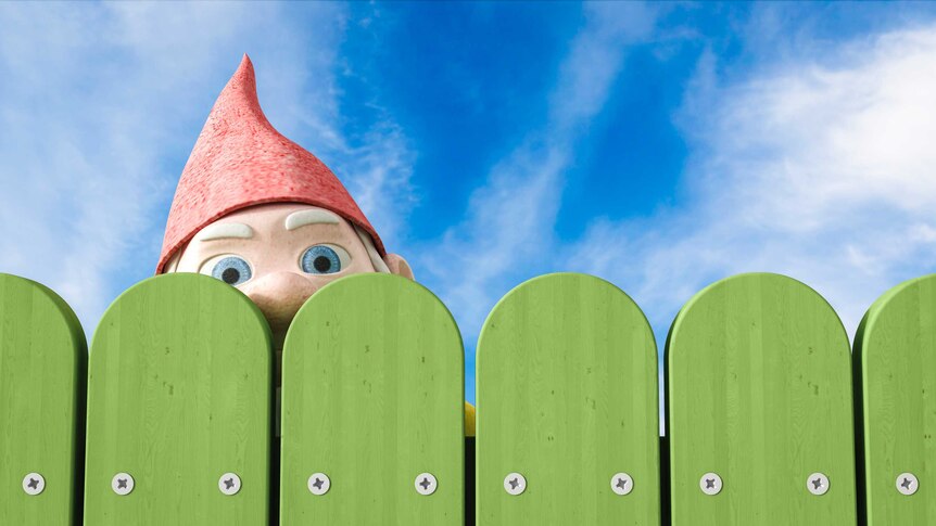 The face of a garden gnome in a red hat peering over a green picket fence with blue sky and clouds behind