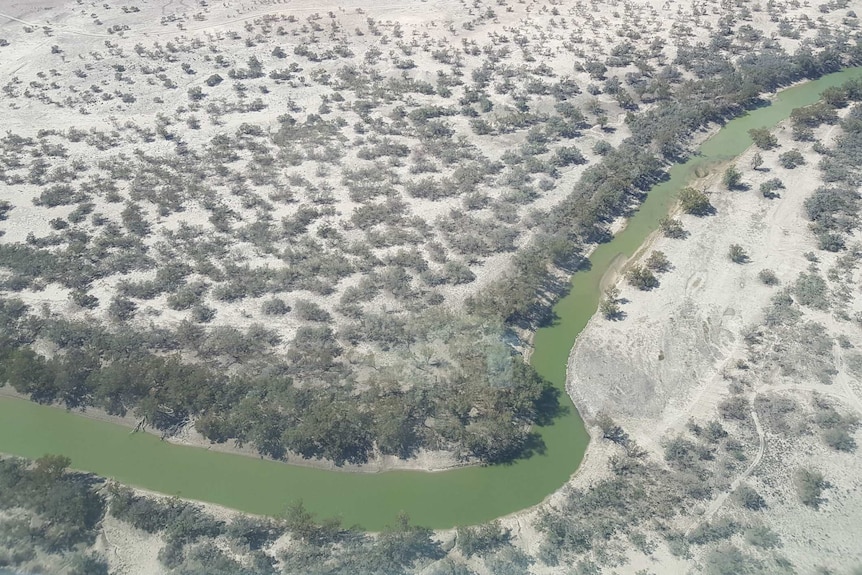 An aerial view of a curving green river surrounded by scrubby trees and brown land.