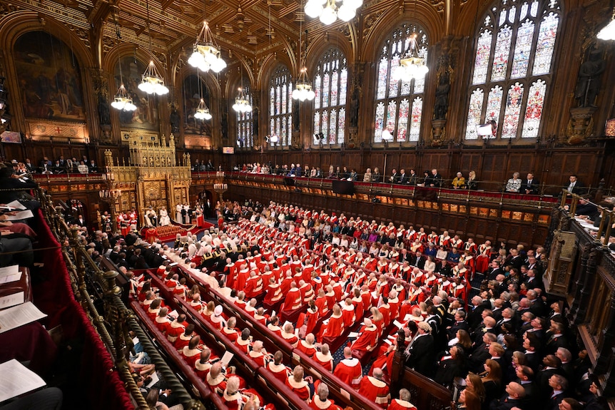 Rows of people sit in red robes facing king charles on a throne at the front of parliament 