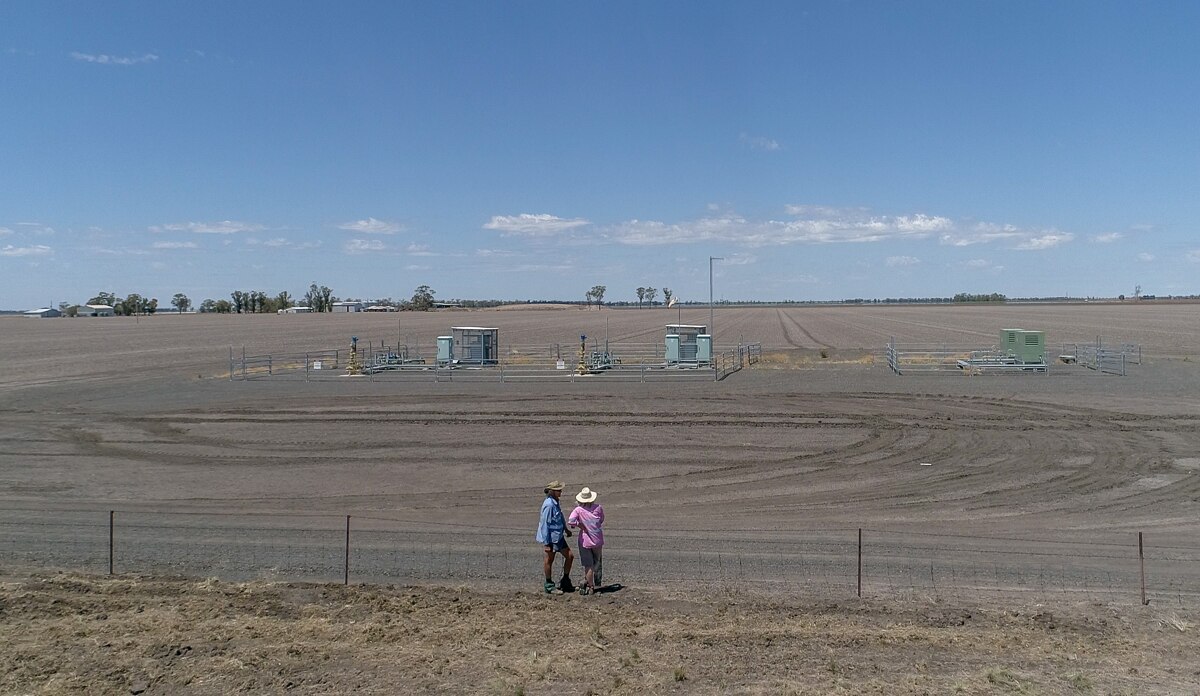 A couple stand in a large paddock