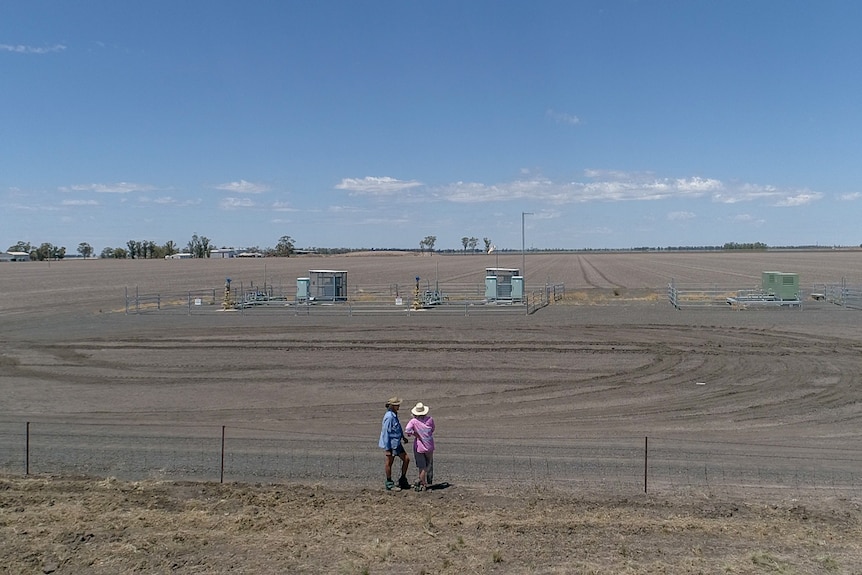 A couple stand in a large paddock