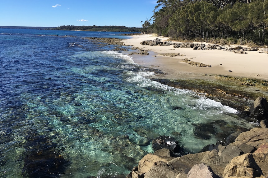 a small rocky beach