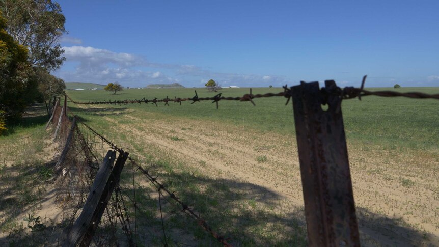 Looking through a fence, topped by barbed wire, over agricultural land.
