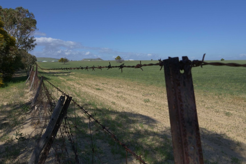Looking through a fence, topped by barbed wire, over agricultural land.