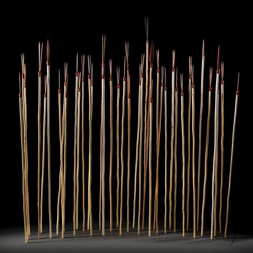 Spears from 1770 displayed with contemporary spears against a black background