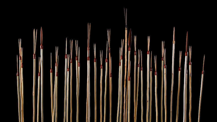 Spears from 1770 displayed with contemporary spears against a black background