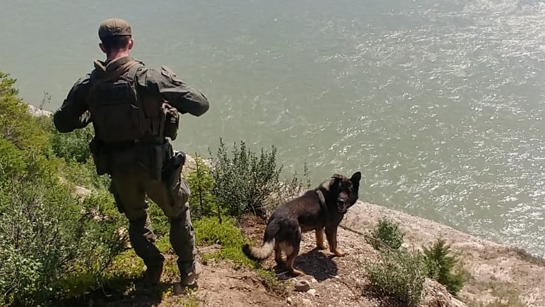 A man and a dog stand on the water's edge.