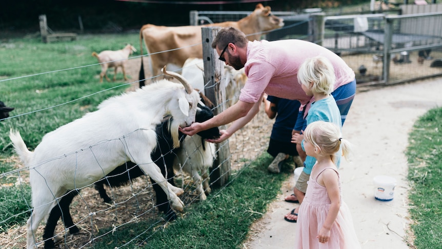 Man and young children feed goats.