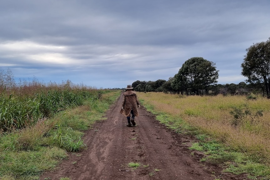 A dirt path cuts through sugar cane and greenery, a woman in a big coat and hat walks with her back to shot down the path. 