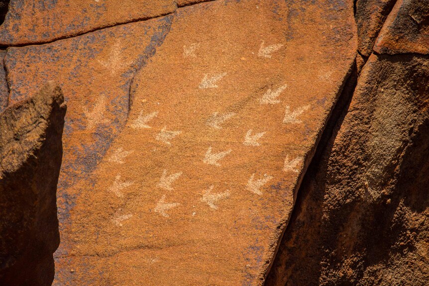 Outlines of bird feet on a rock.