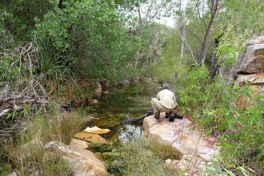 Image of a man wearing khaki squatting down and gathering samples from a river.