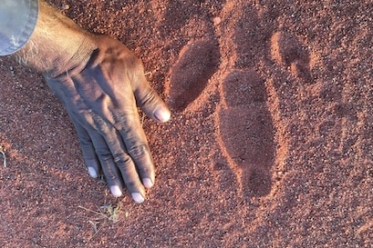 A person's hand is placed for size comparison next to a distinct animal footprint in red dirt.