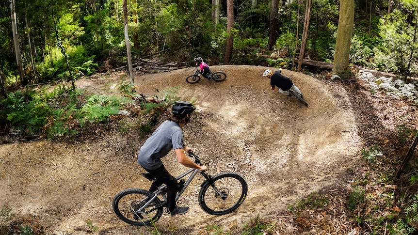 Three people on mountain bikes zoom around the corner of a dirt mountain bike trail winding through the trees